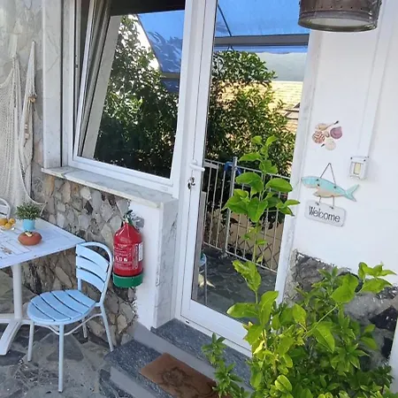 Guest house La Tortuga *
